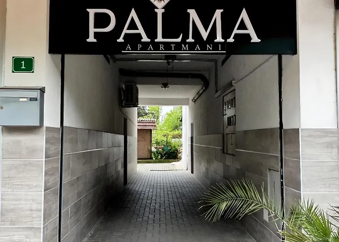 Sobe Palma Homestay *